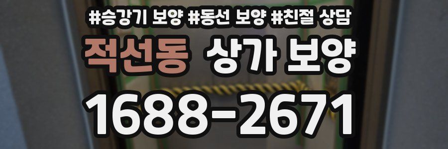 적선동 상가 보양