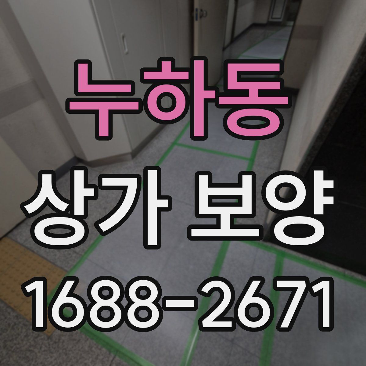 누하동 상가 보양