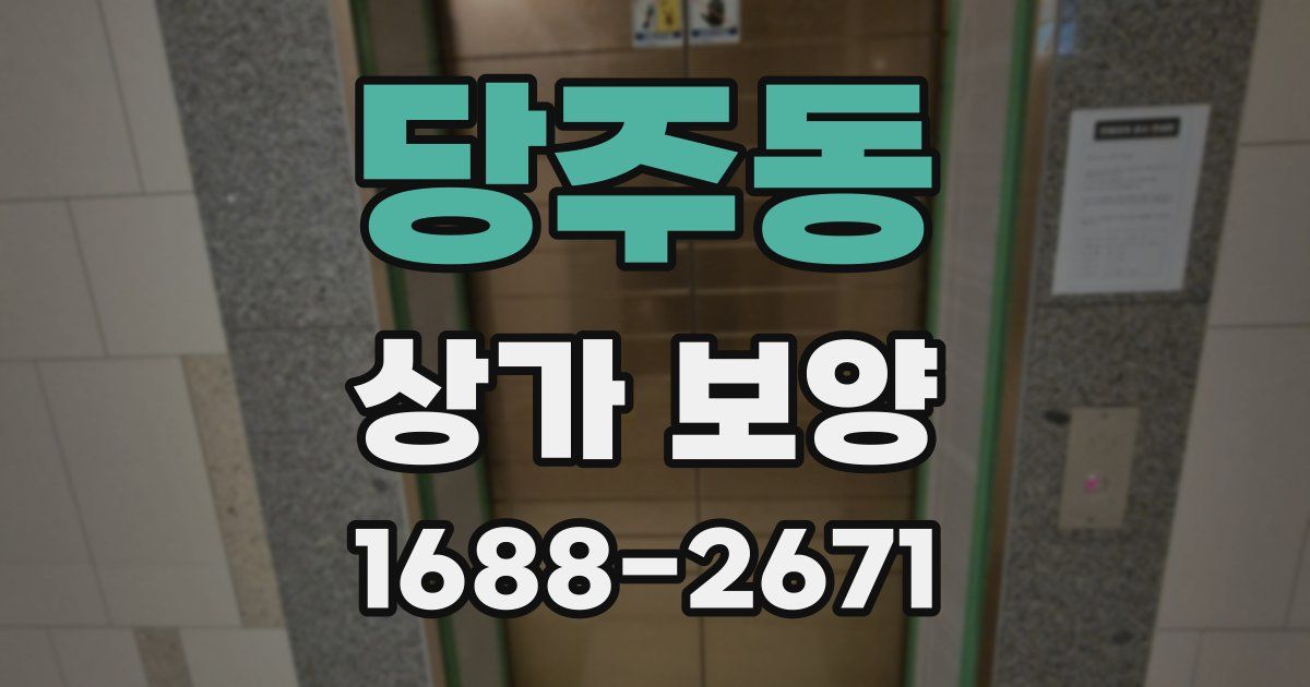 당주동 상가 보양