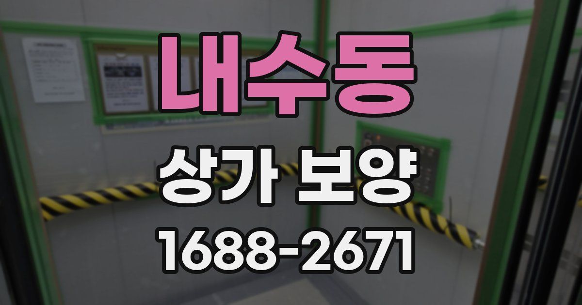 내수동 상가 보양