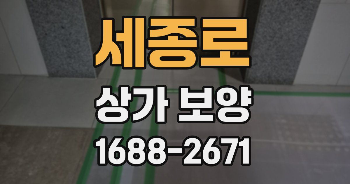 세종로 상가 보양