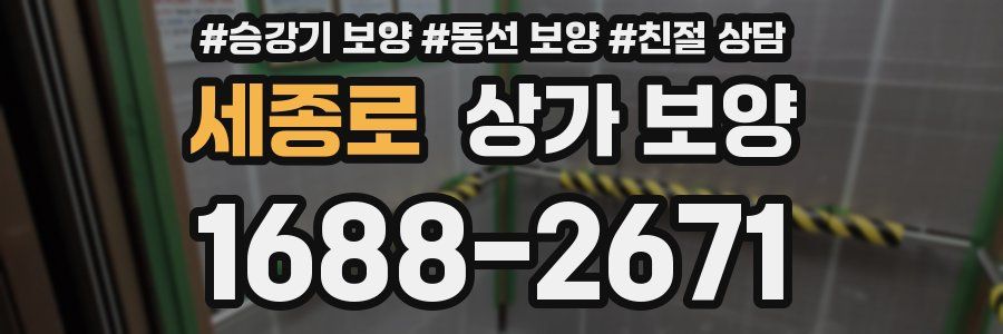 세종로 상가 보양