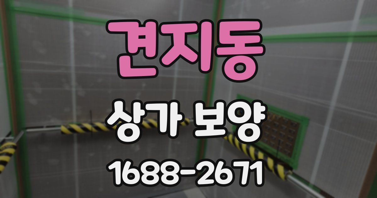 견지동 상가 보양