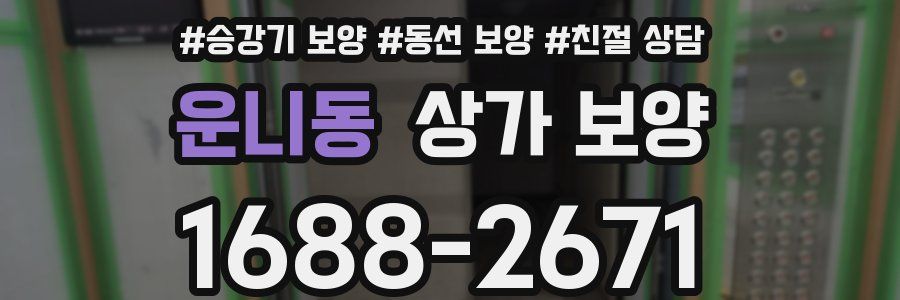 운니동 상가 보양