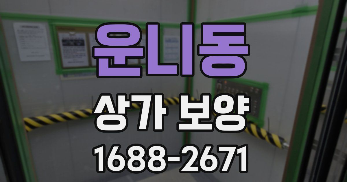 운니동 상가 보양