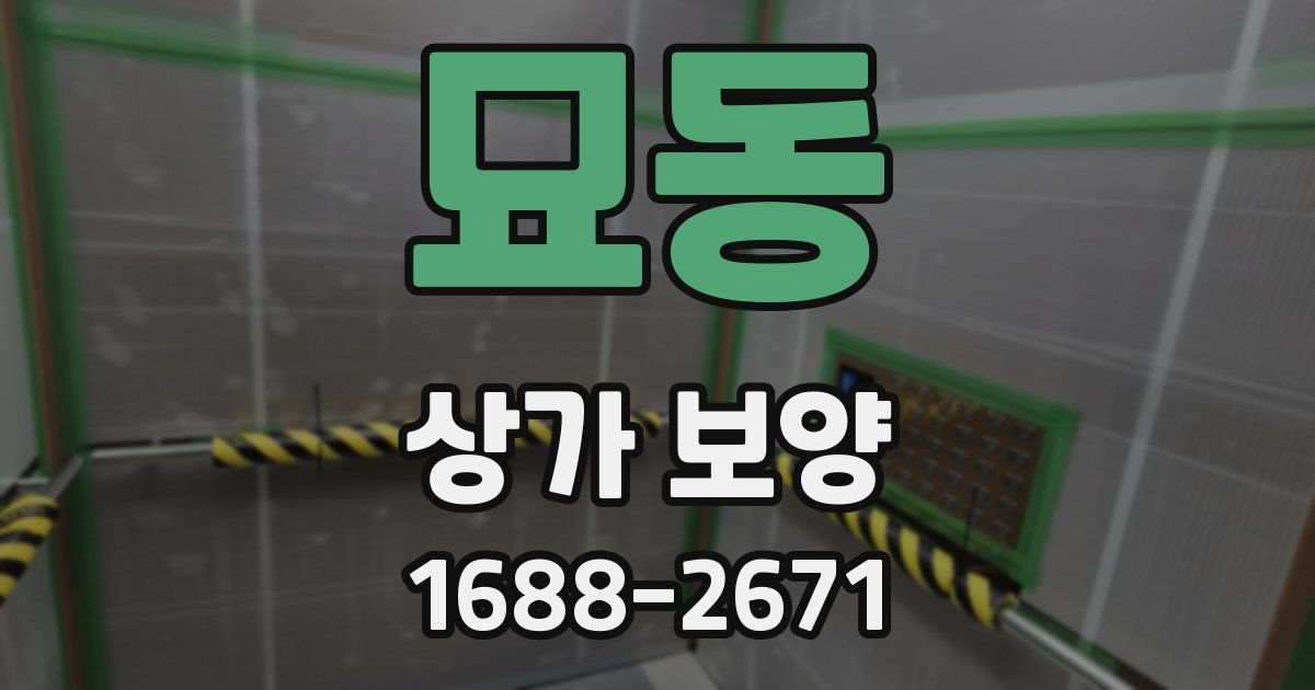 묘동 상가 보양