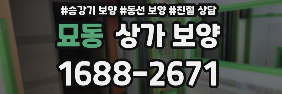 묘동 상가 보양