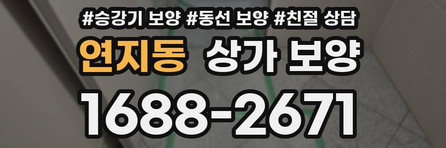 연지동 상가 보양