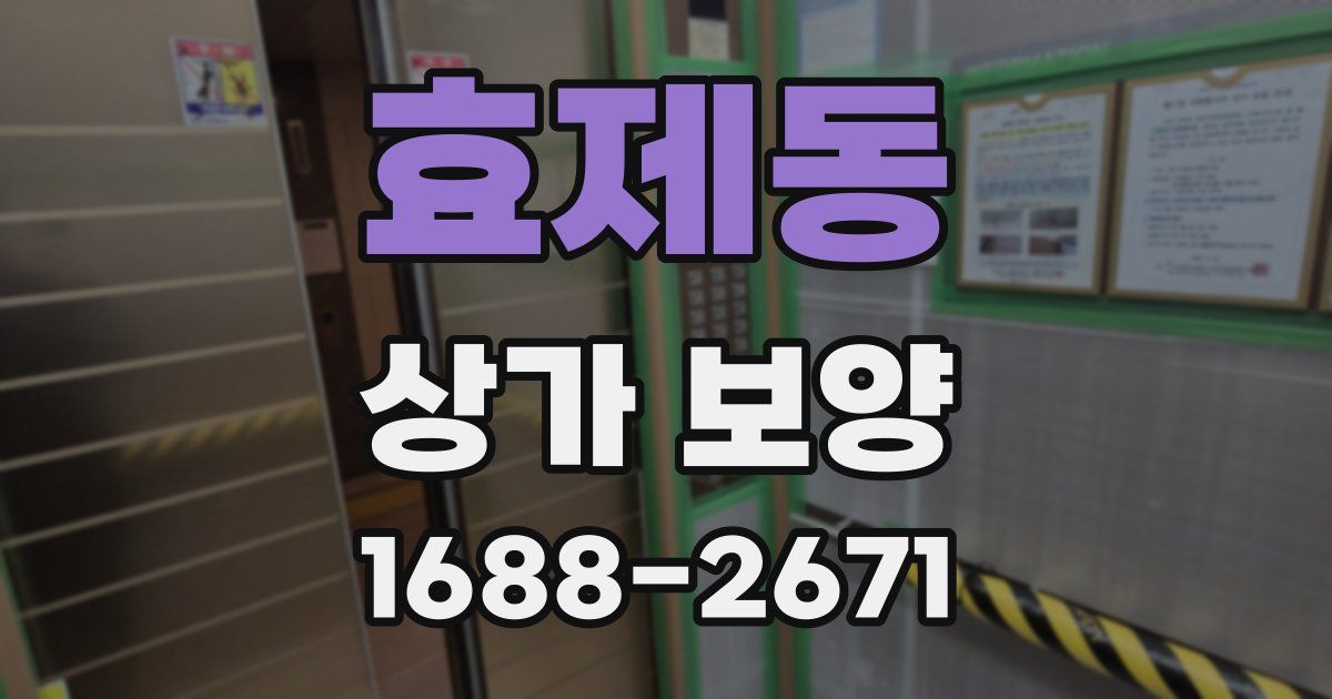 효제동 상가 보양