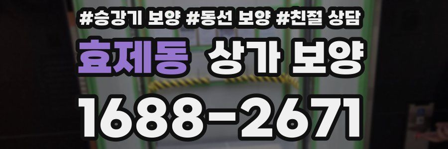 효제동 상가 보양