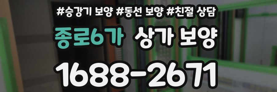 종로6가 상가 보양