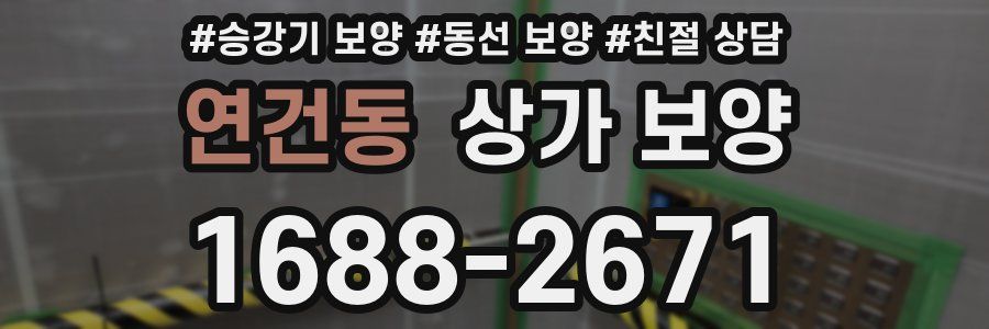 연건동 상가 보양