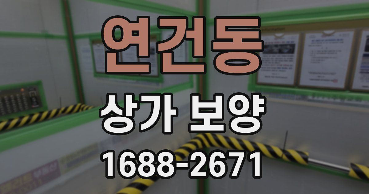 연건동 상가 보양