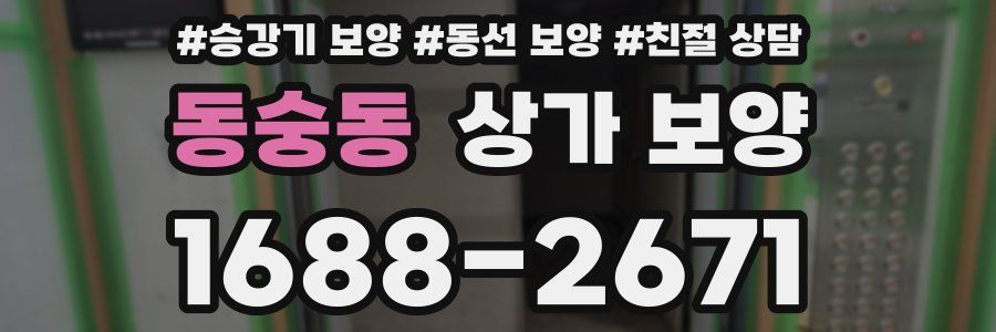 동숭동 상가 보양