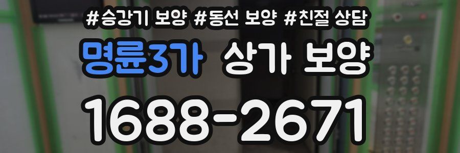 명륜3가 상가 보양