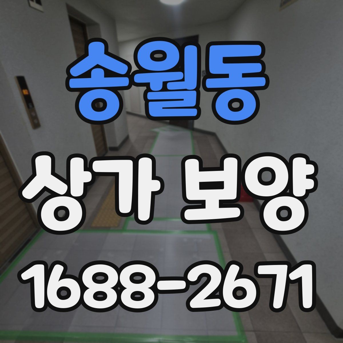 송월동 상가 보양 대상 공간을 구분하는 법