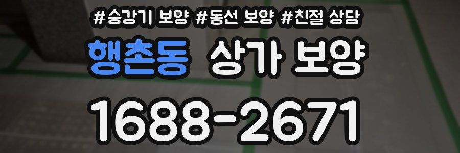 행촌동 상가 보양