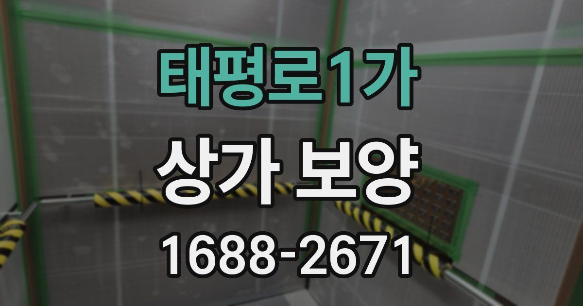 태평로1가 상가 보양