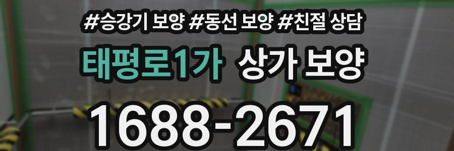 태평로1가 상가 보양