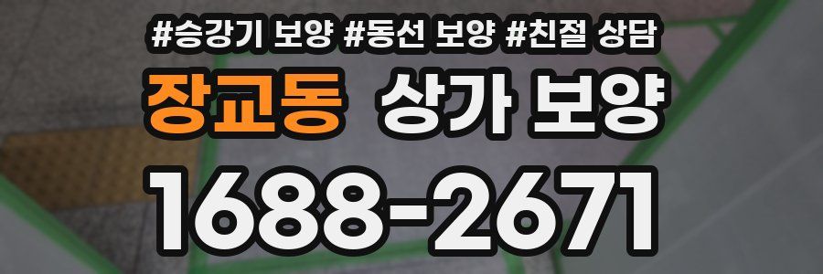 장교동 상가 보양