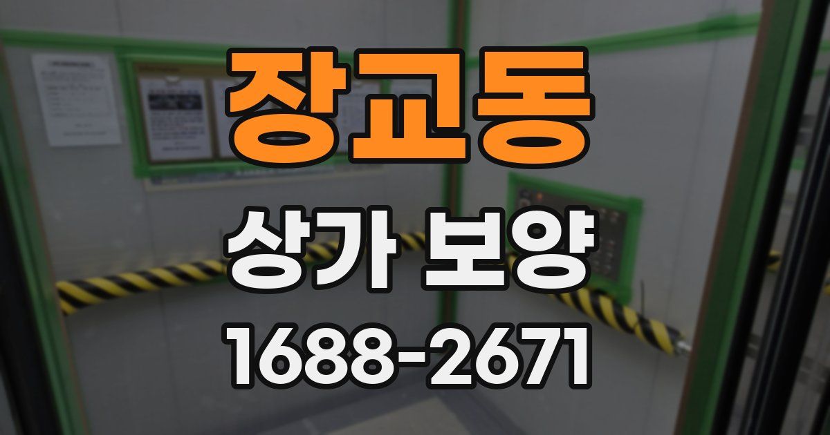 장교동 상가 보양