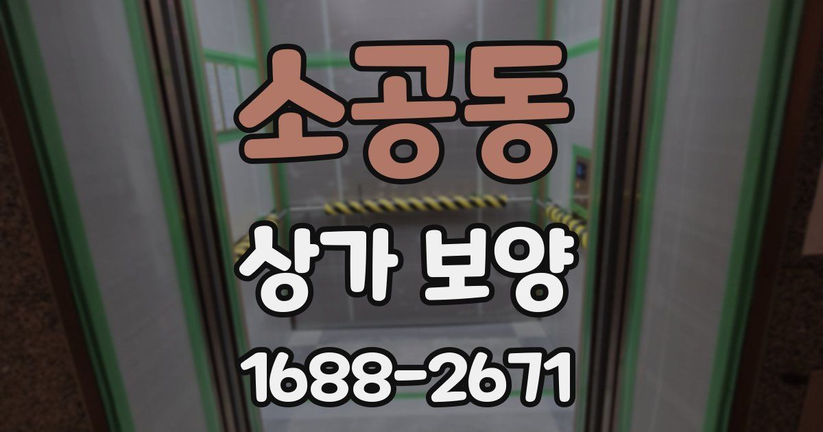 소공동 상가 보양