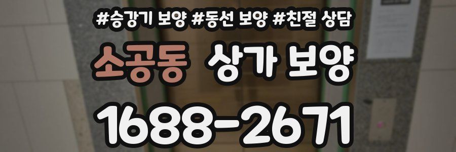 소공동 상가 보양