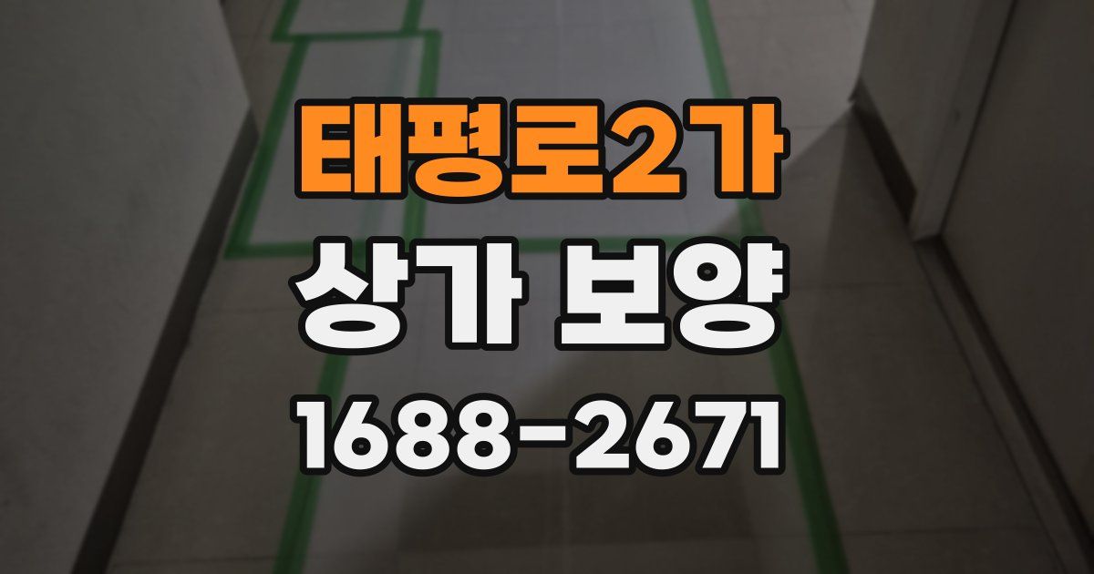 태평로2가 상가 보양