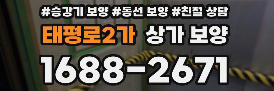 태평로2가 상가 보양