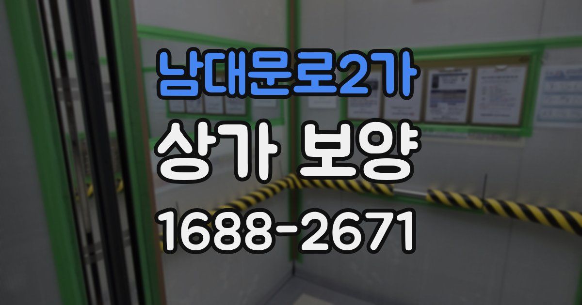 남대문로2가 상가 보양