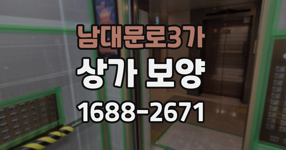 남대문로3가 상가 보양