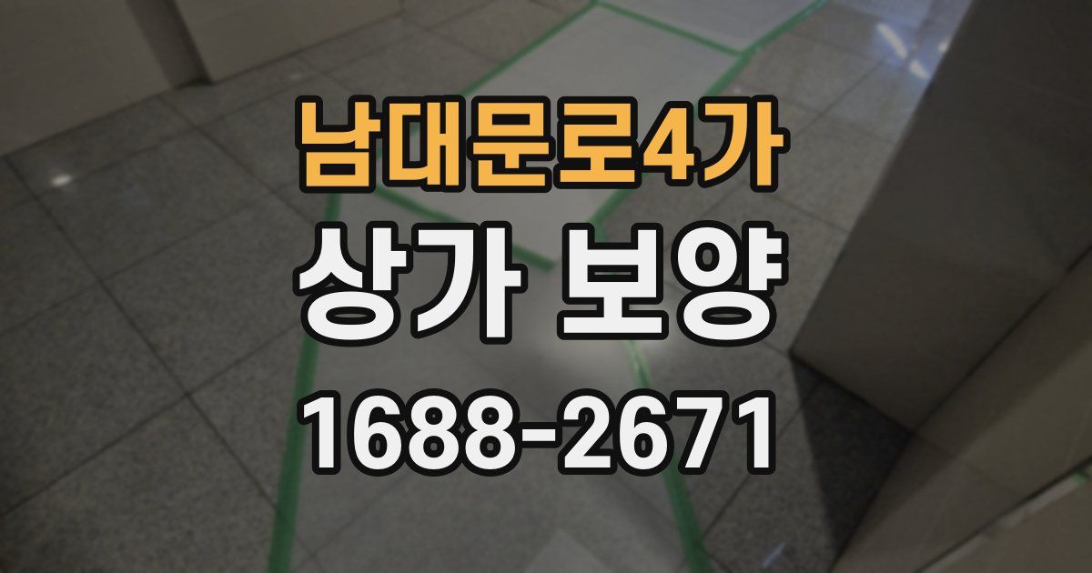 남대문로4가 상가 보양