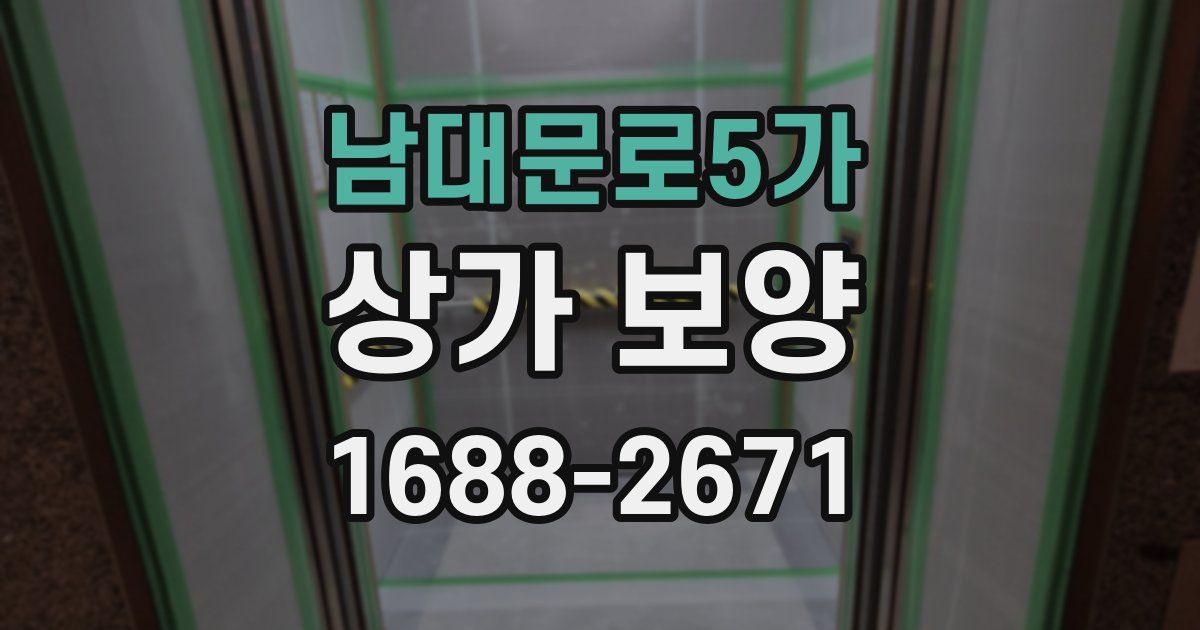 남대문로5가 상가 보양