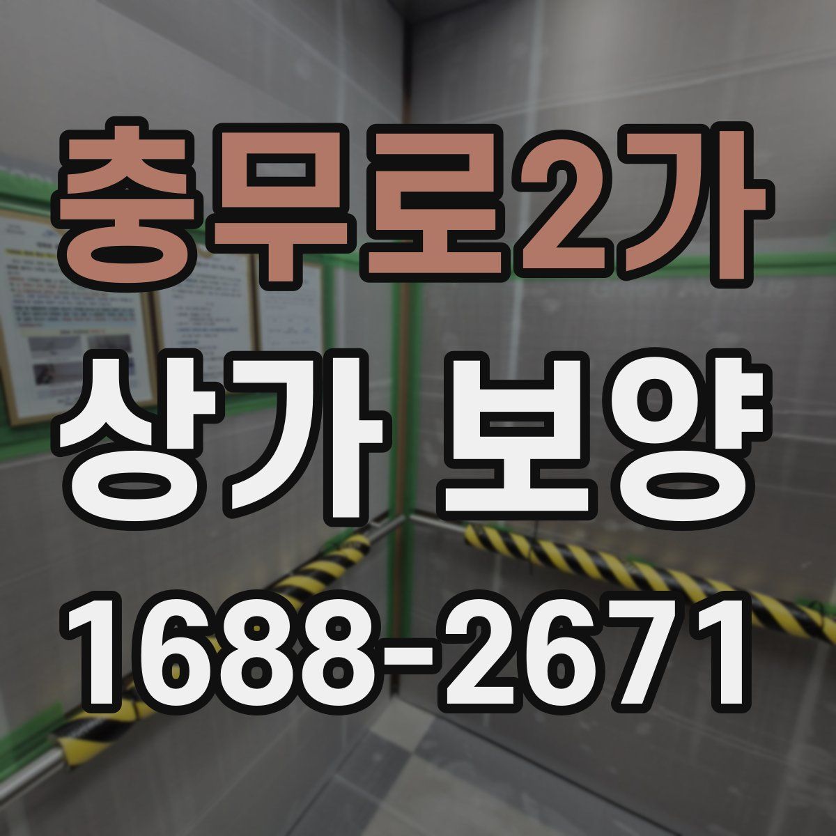 충무로2가 상가 보양