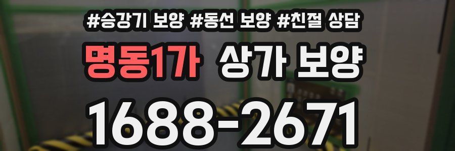 명동1가 상가 보양