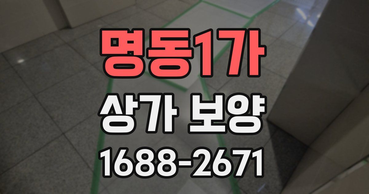 명동1가 상가 보양