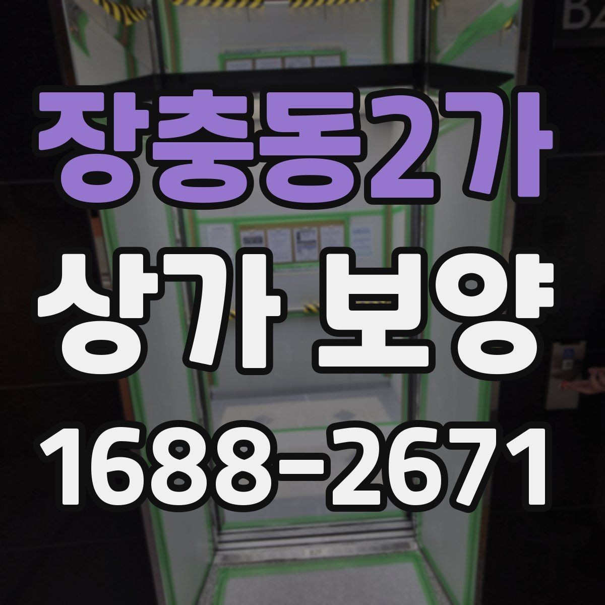 장충동2가 상가 보양 자재 종류와 활용 사례