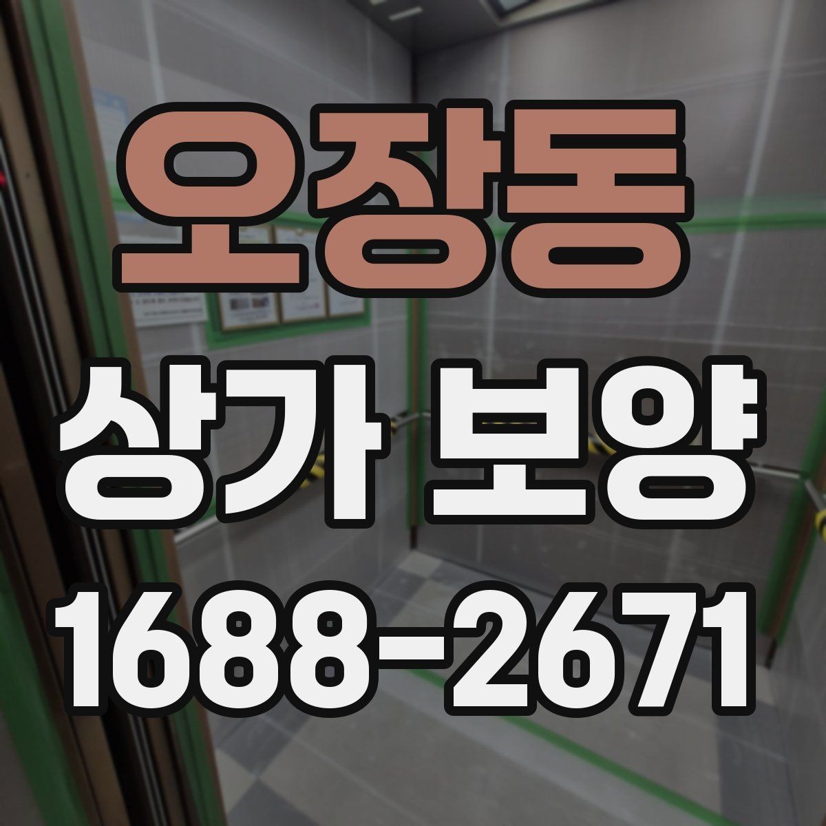 오장동 상가 보양 단계별 진행 방식과 확인 포인트