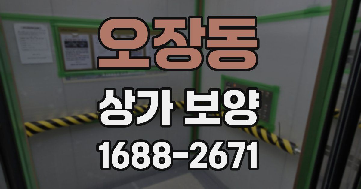 오장동 상가 보양