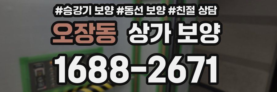 오장동 상가 보양