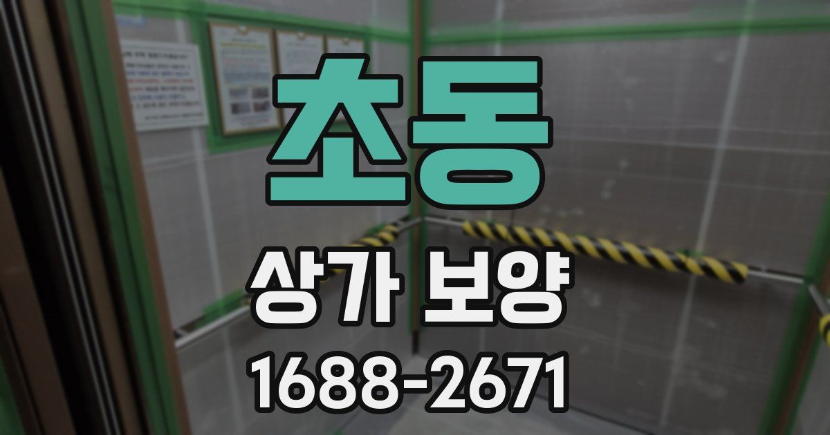 초동 상가 보양