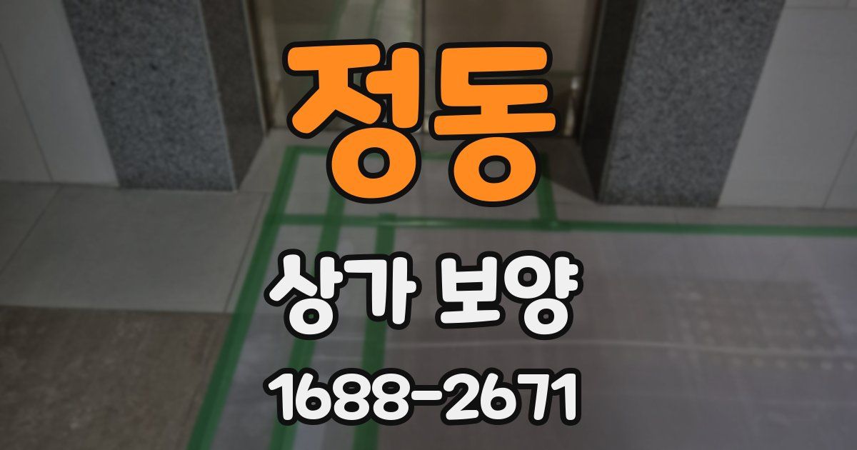 정동 상가 보양