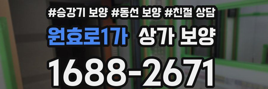 원효로1가 상가 보양