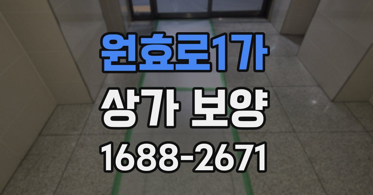 원효로1가 상가 보양