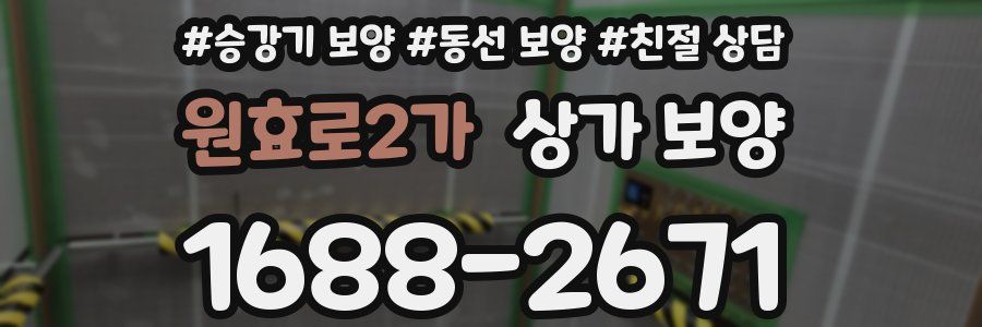 원효로2가 상가 보양