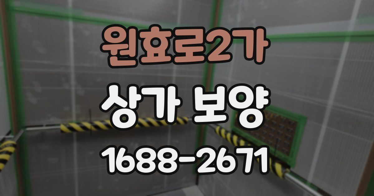 원효로2가 상가 보양