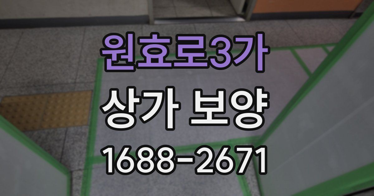 원효로3가 상가 보양