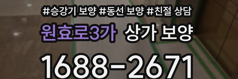원효로3가 상가 보양