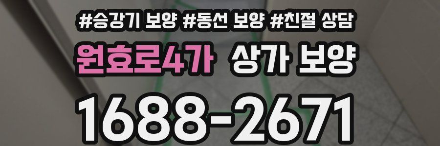 원효로4가 상가 보양