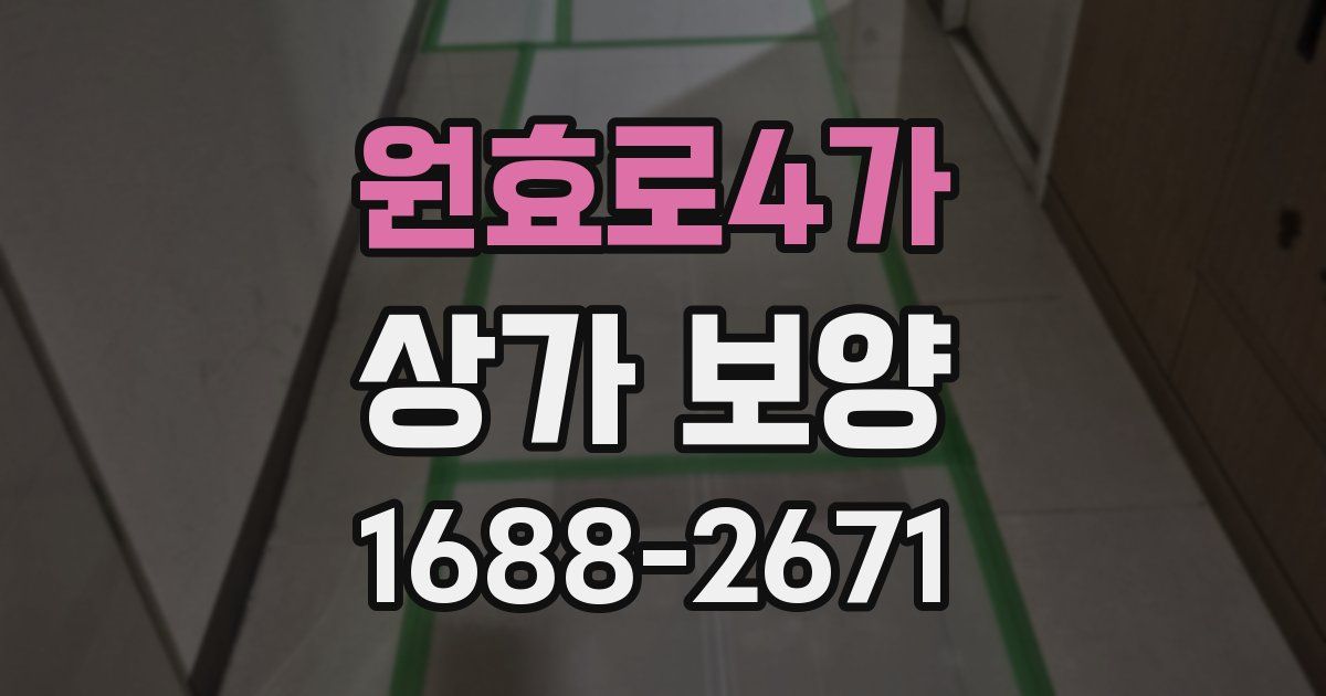 원효로4가 상가 보양